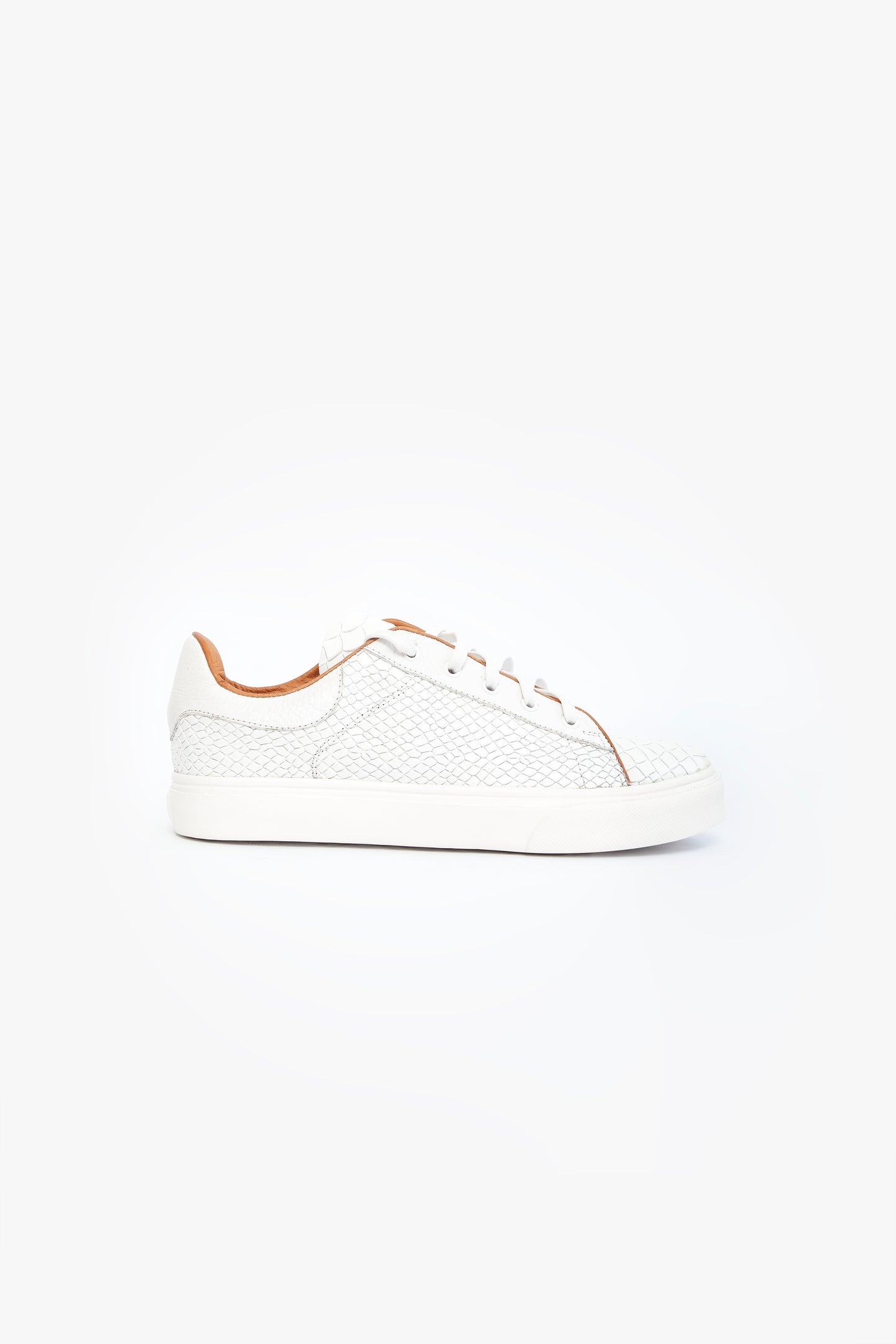 CROCODILE BLANCO