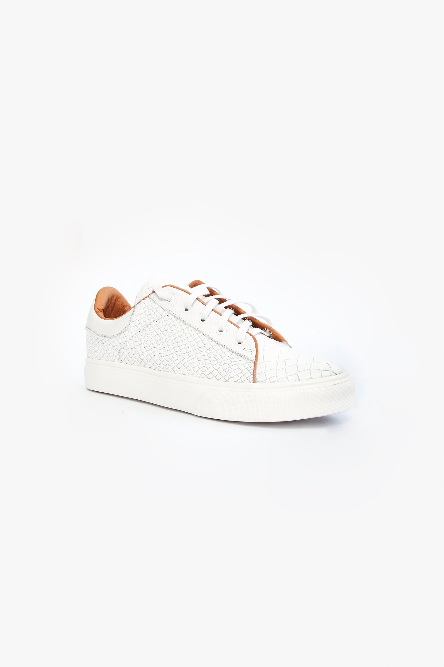 CROCODILE BLANCO