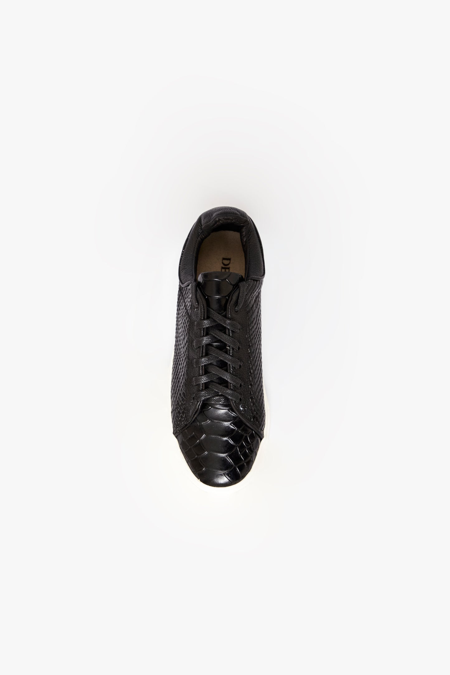 CROCODILE NEGROS