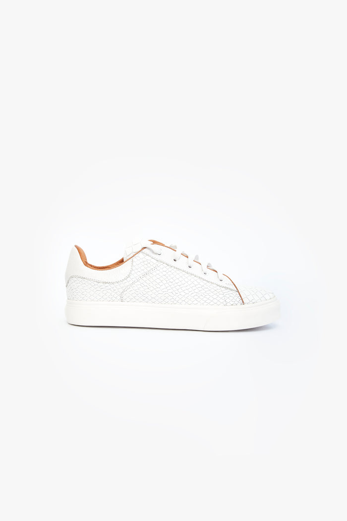 CROCODILE BLANCO