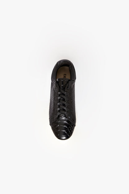 CROCODILE NEGROS