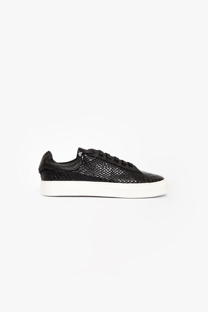 CROCODILE NEGROS