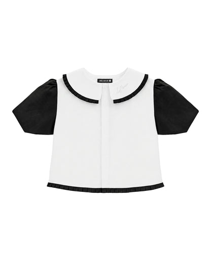 Top Cambridge Negro