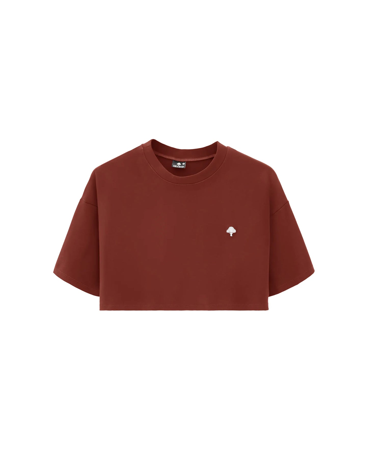 Camiseta Confort Terracota