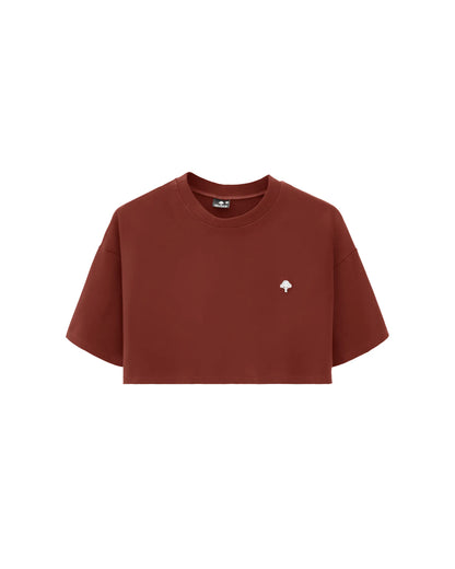 Camiseta Confort Terracota