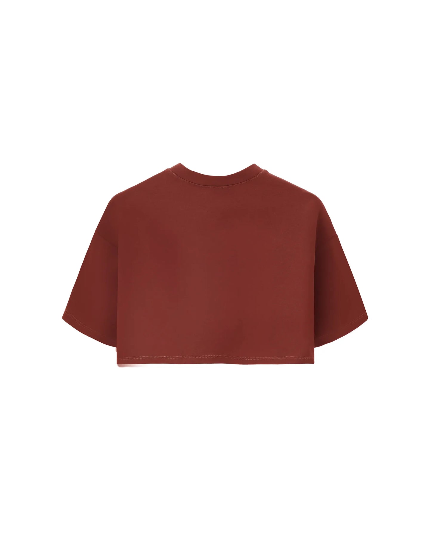 Camiseta Confort Terracota